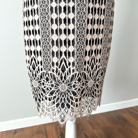 Harlyn Blush & Black Lace Overlay Sheath Cocktail Dress Scallop Hem Size Medium - Picture 5 of 15